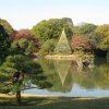Tokyo_Rikugien_Park_19